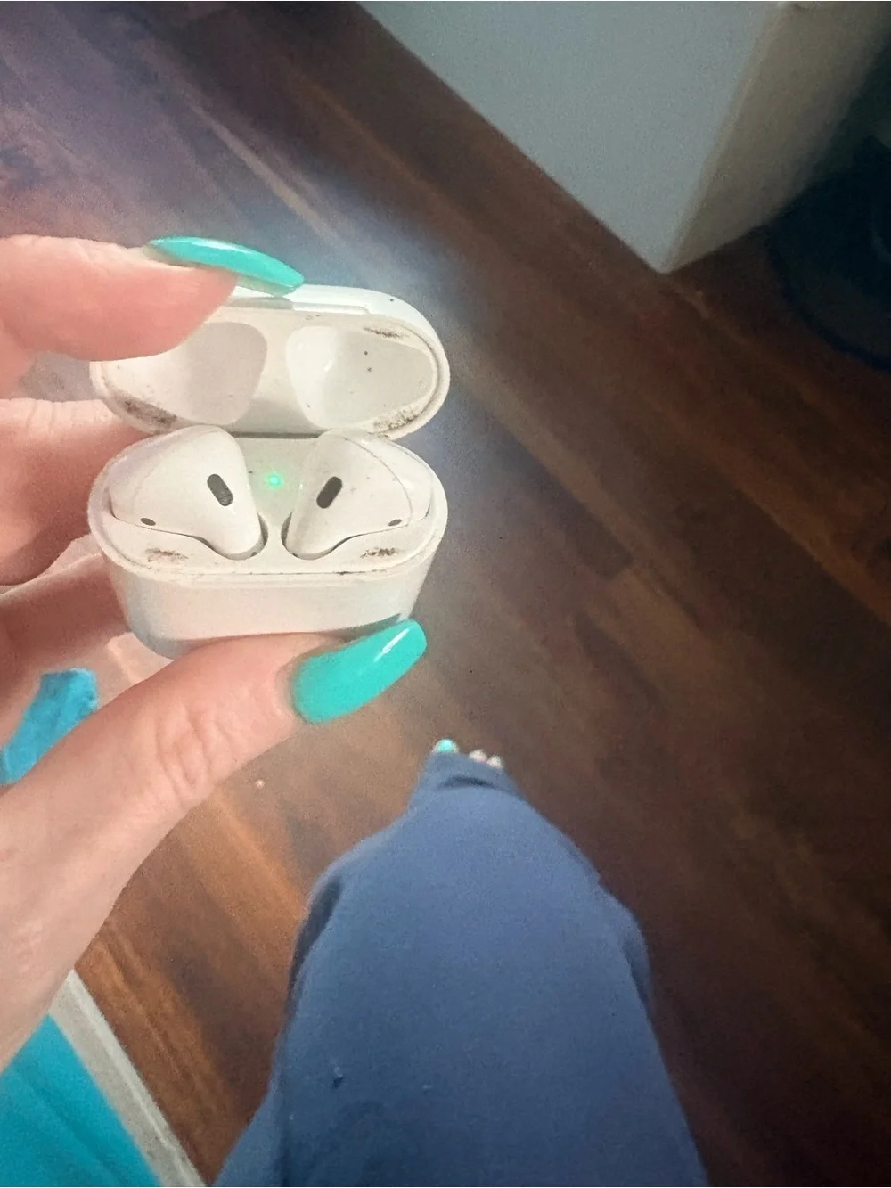 Apple White Wireless Earbud Charging Case